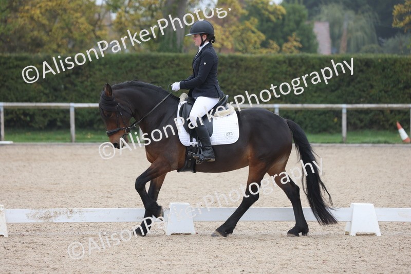 20251012-0529 - Class 4 - Novice 6