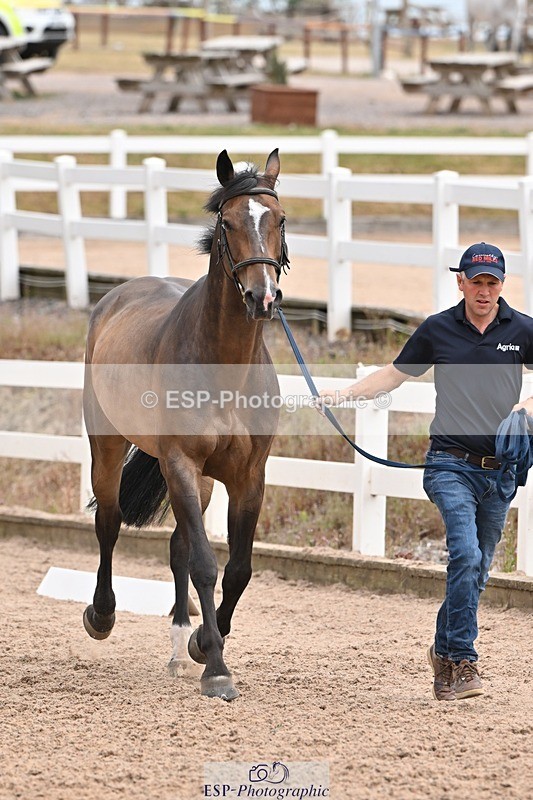 250716-144152-01323 - Trot Up 2.30 to 3.30