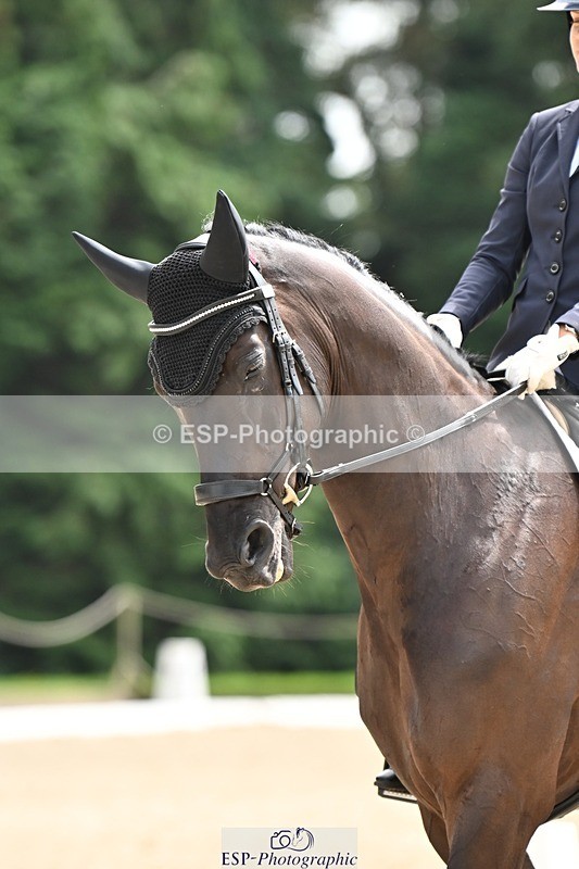 240811-141357-06303 - 115-Lucy.Amy-Millenium.Falcon