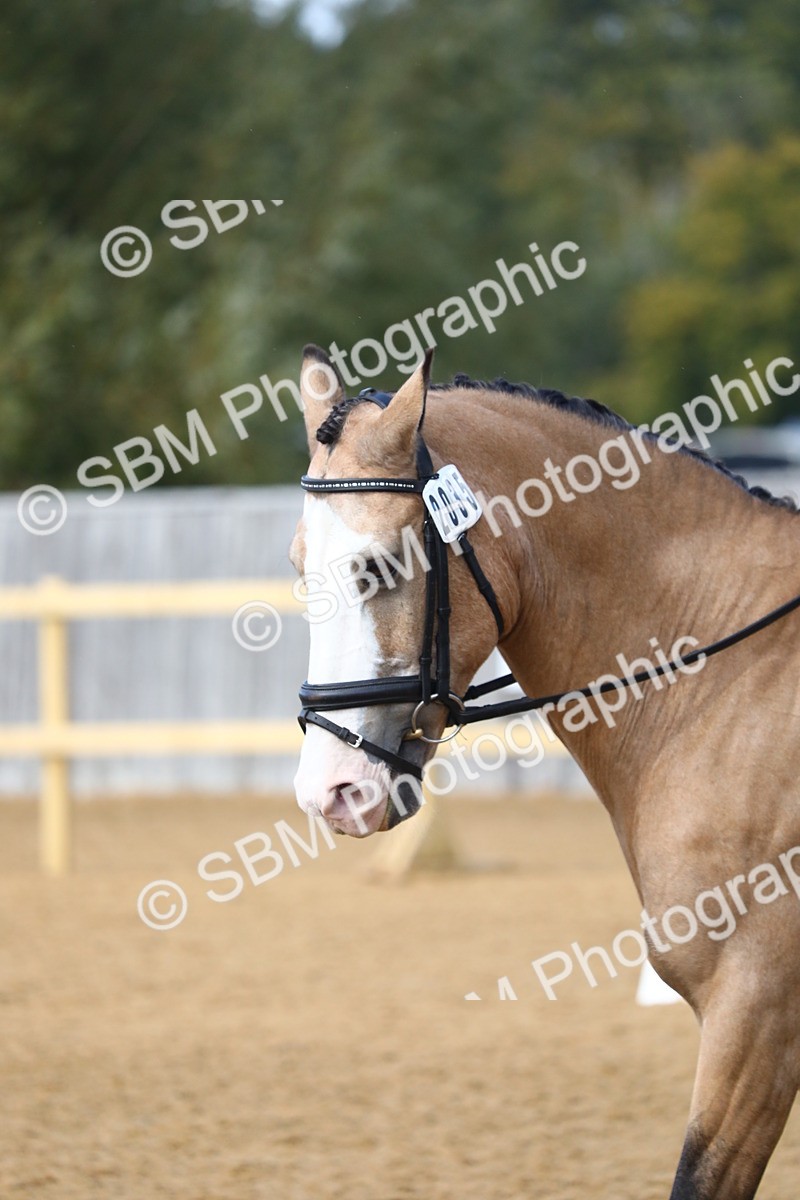 SBM_49149 - D23 - Junior Championship Prelim 1