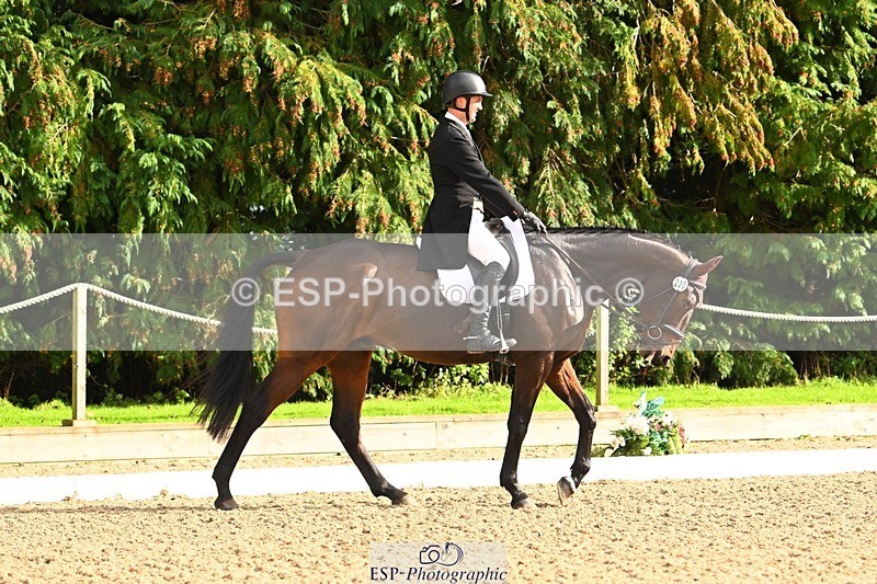 231020-144346-10340 - 210-TREGARON-Gubby.Leech-DR