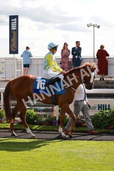 yr21052022r7-5 - Race 7: 5:15pm Reg Bond Always and Forever Stakes