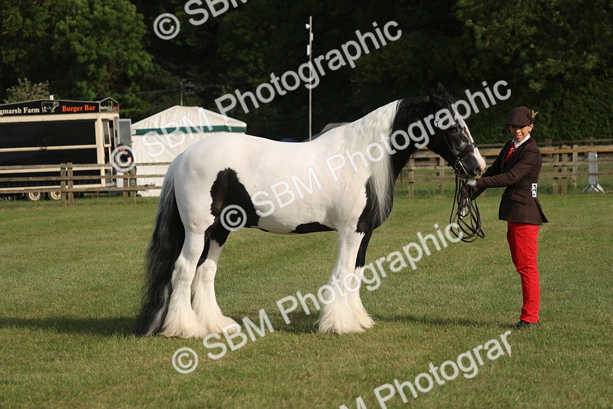 SBM_10545 - Class 33-38 - SSADL RIHS Qualifiers