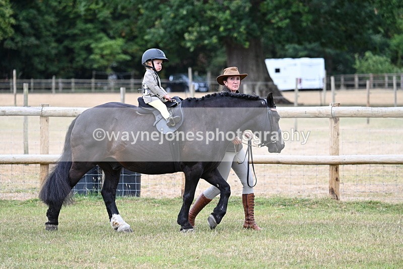 WJ7_9653 - Class 1 Lead Rein Pony