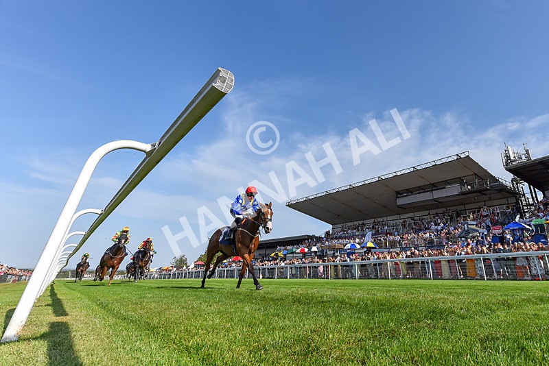 130825-Race 7-Tees Aggregates-2 - Race 7