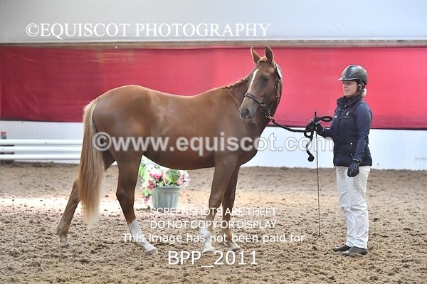 BPP_2011 - AFTERNOON 12.30 - 3.30PM