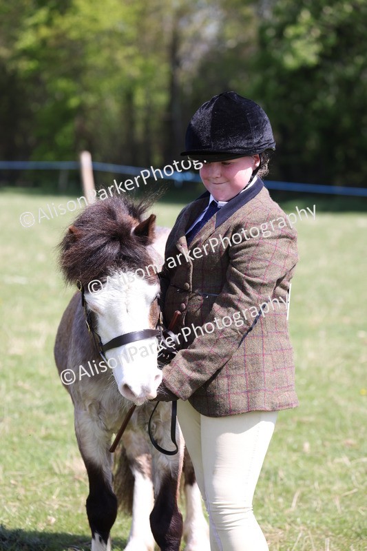 20250427-2985 - Class 27 - Coloured Horse and Pony