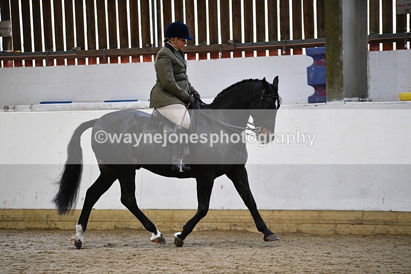 WJ5_7797 - Class 13 Ridden Part Breed
