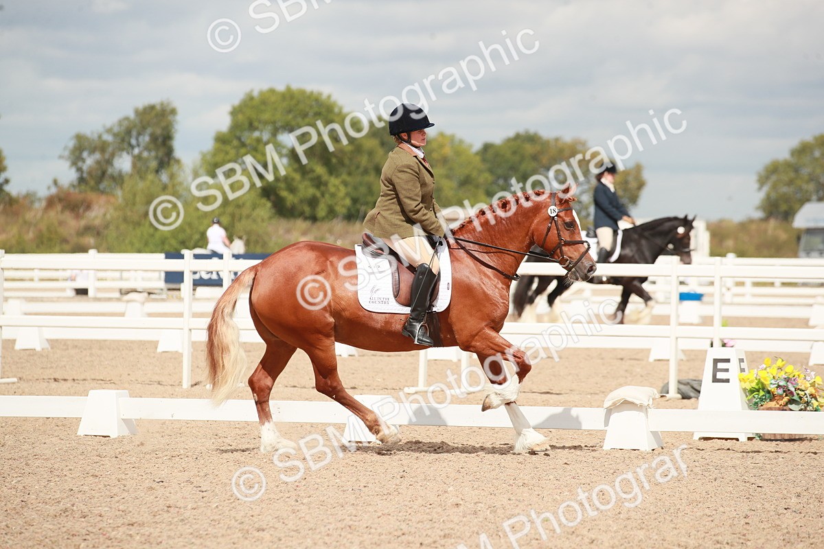 SBM_05857 - Class 32 - Novice 1