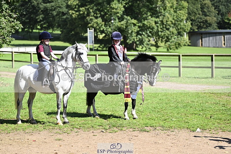 240728B-094740-00147 - Sunday Stable Shots and Fancy Dress