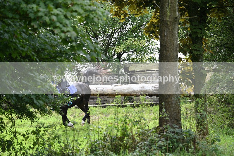 WJ7_7910 - Time 14:04 to 14:10