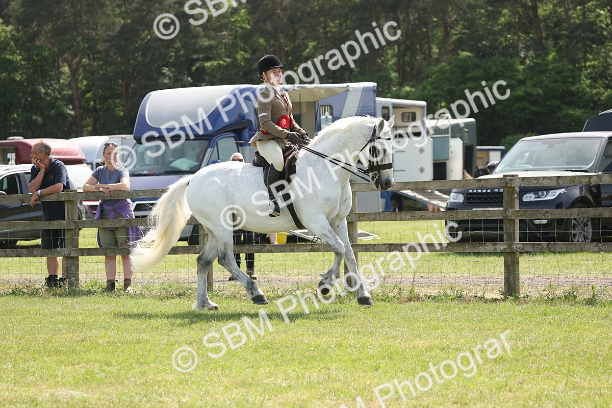 SBM_07647 - Class 26-30 - Mountain and Moorland Ridden