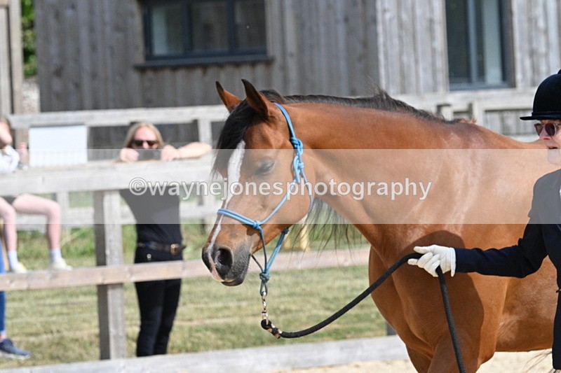 WJ7_8264 - Time 16:10 to 16:25