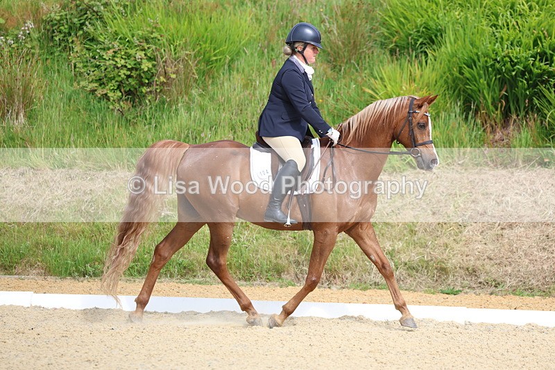 3E7A1151 - Class 1: Intro 2 2024 Section A