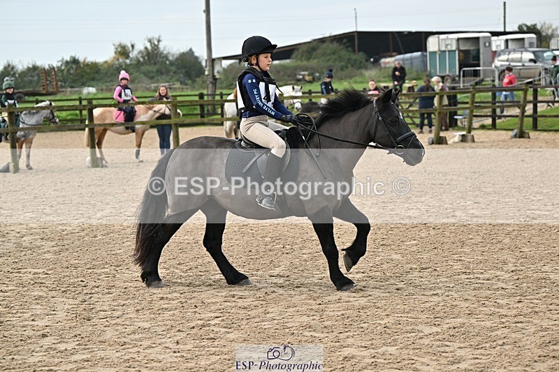 241110-111618-00380 - 50-55cm Arena Eventing