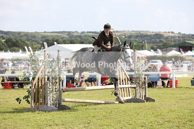 JPP_2679 - Class 20: Working Hunter 70cm