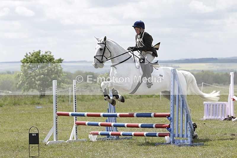 BVHT 140517 N-390 - Class 2 SJ Novice 14/05/17