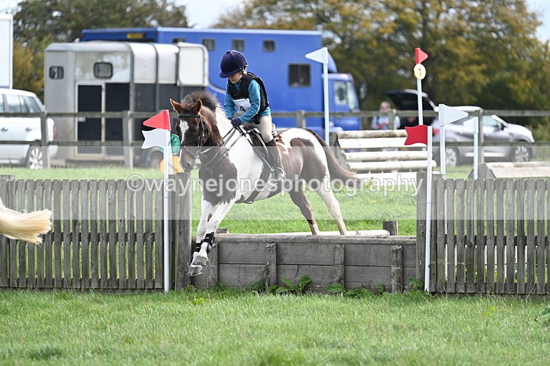 WJ7_8443 - 60cm Pairs