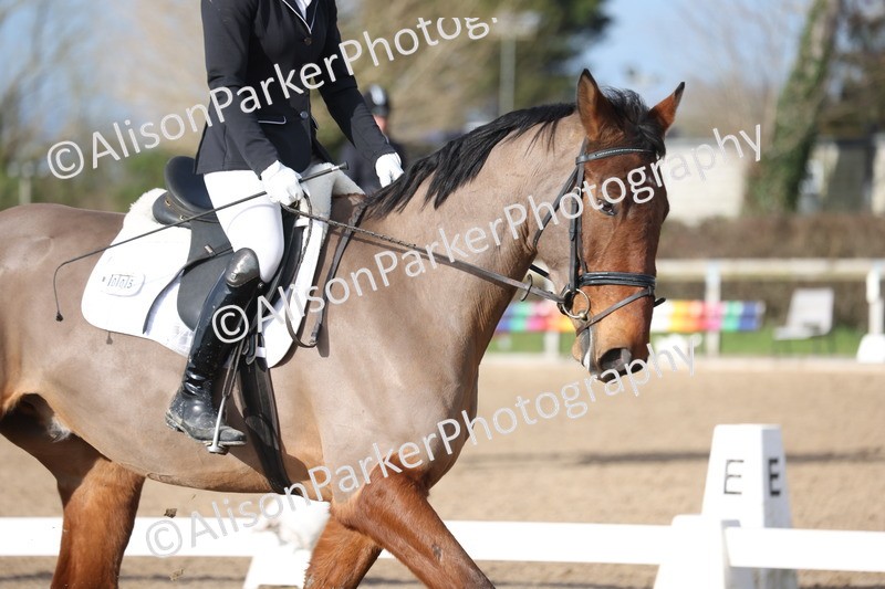 20260128-0425 - Class 4 - Novice 5