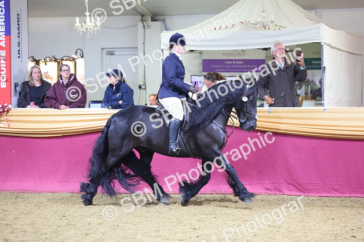 0B8A4676 - Class R Working Veteran Champ