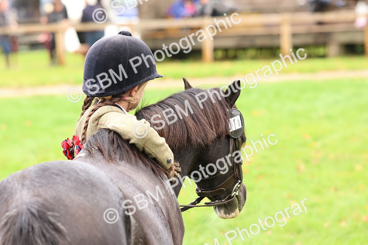 SBM_39351 - S24 - Young Veteran In Hand