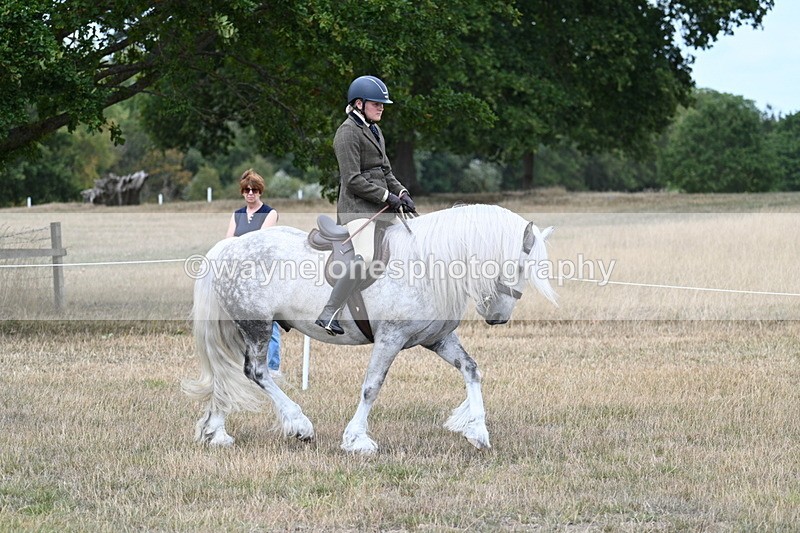 WJ7_4752 - Class 12 Ridden Cob