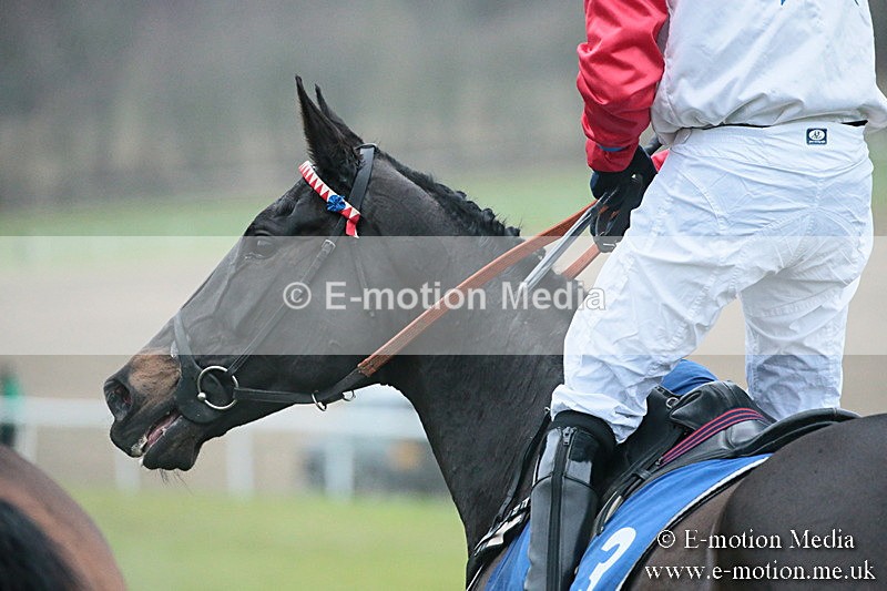 PtP 251118-278 - Vine & Craven Point-to Point Barbury Racecourse 25/11/18
