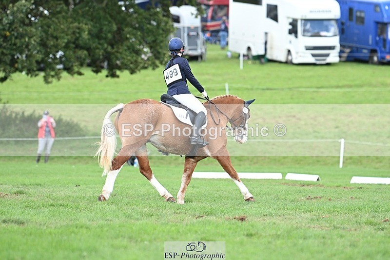 231020-143632-10684 - 499-GORFELYN.PETER.THE.GREAT-Charlotte.Bellamy-DR