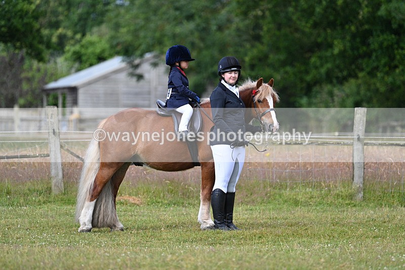 WJ7_4463 - Class 1 Lead Rein Pony