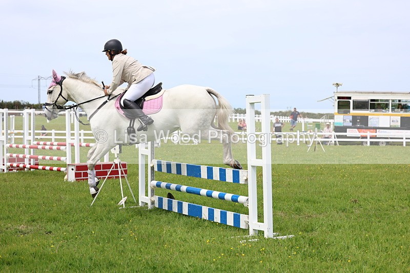 3E7A1670 - Class 13: Senior British Novice/90cm open