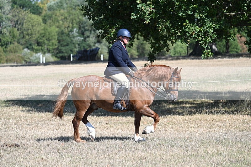 WJ7_3849 - Class 9 Mountain & Moorland Ridden