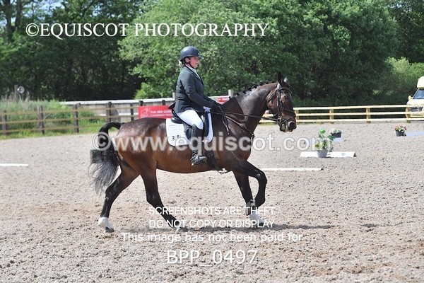 BPP_0497 - MFS NOVICE