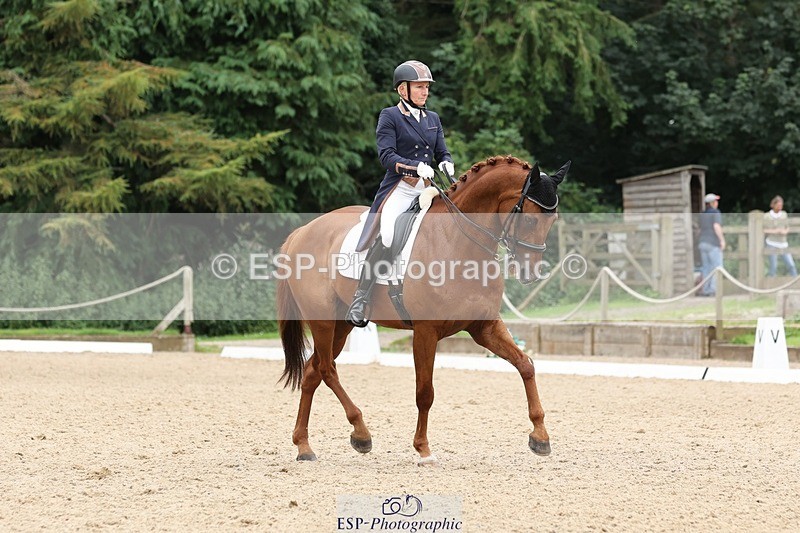 240810-161047-04341 - 219-Alice.Peternell-Insanity