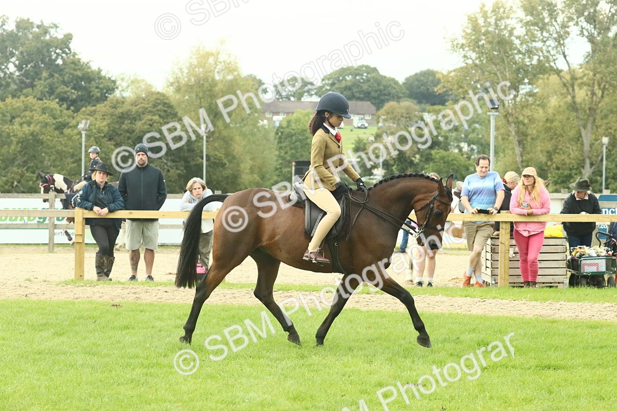 SBM_74090 - S 61 - Show Pony & Show Hunter Pony Ridden