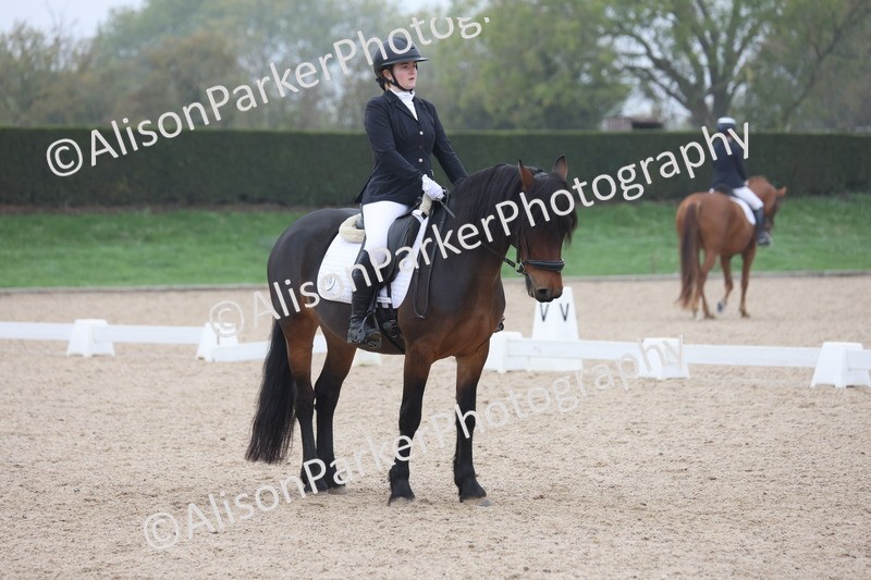 20251012-0512 - Class 4 - Novice 6