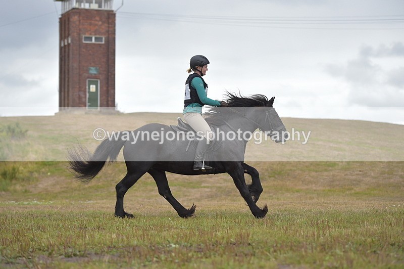 NGP_2778 - XC Time 11:37 to 11:57