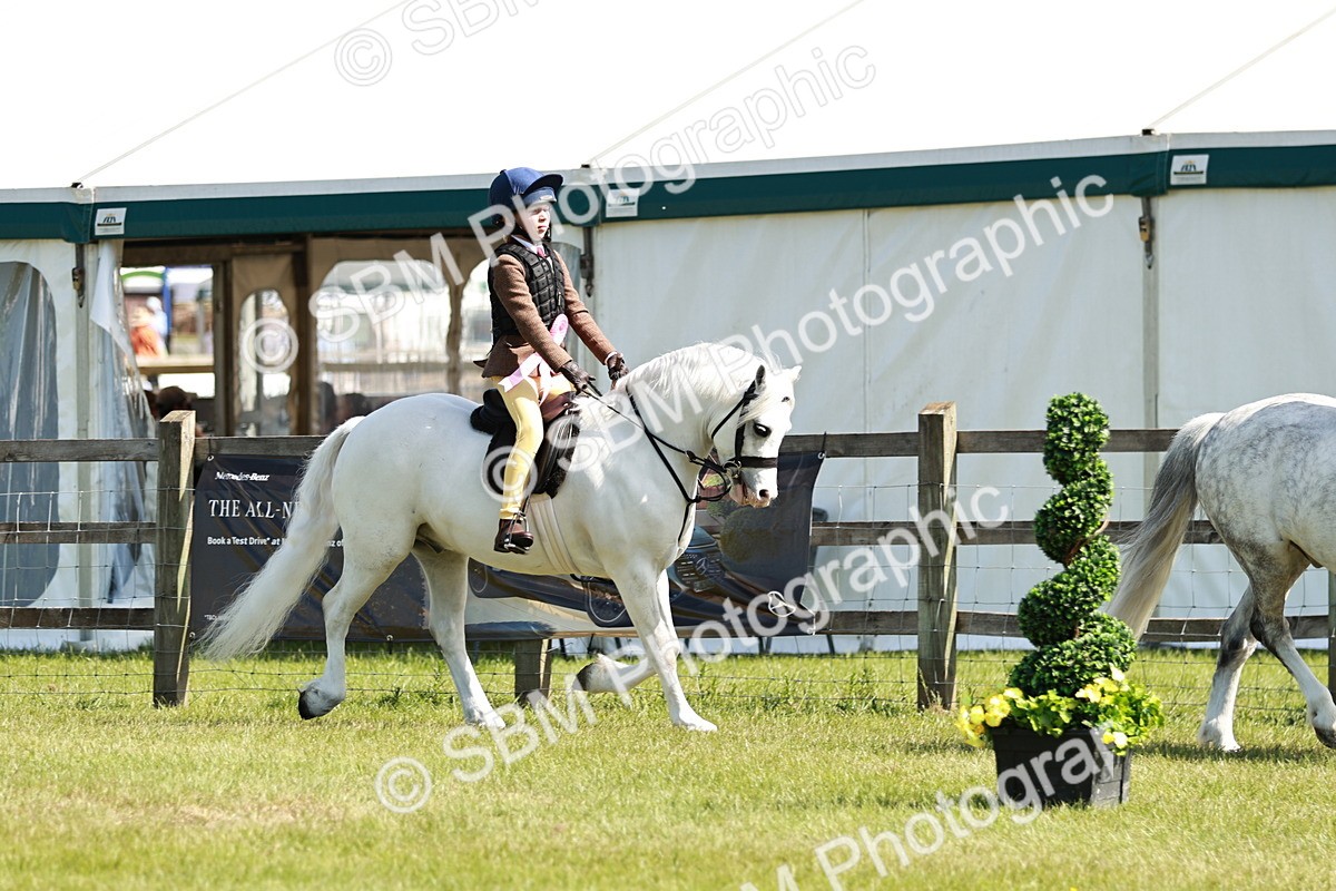 SBM_12850 - Class 106-107 - BSPS LIHS Working Sports Pony