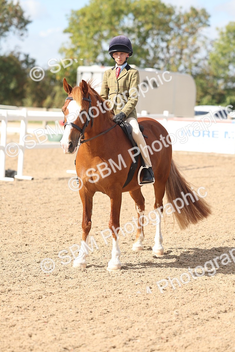 SBM_23150 - Class 806 - Young Rider 10ry and Under