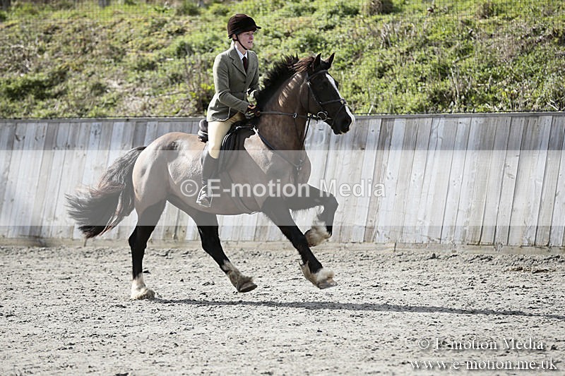 BVRC SJ 170319 456 - Bourne Valley Riding Club Showjumping 17/03/19