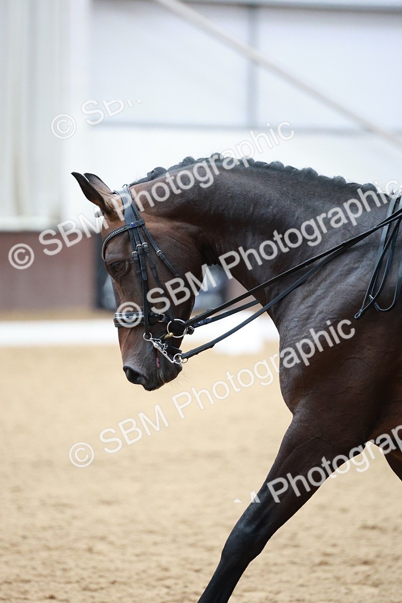 SBM_009504 - Class 13 - FEI PSG - 11.06-12.34