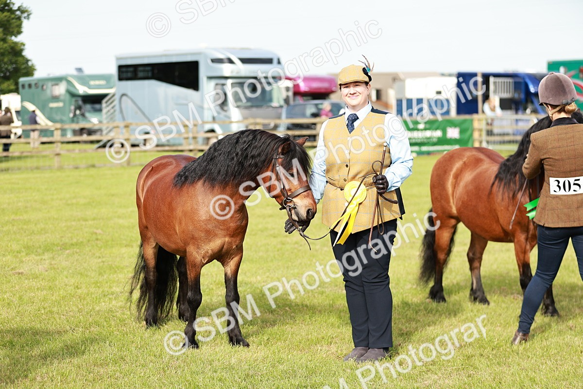SBM_00555 - Class 14-23 - Mountain & Moorland In Hand Non Welsh