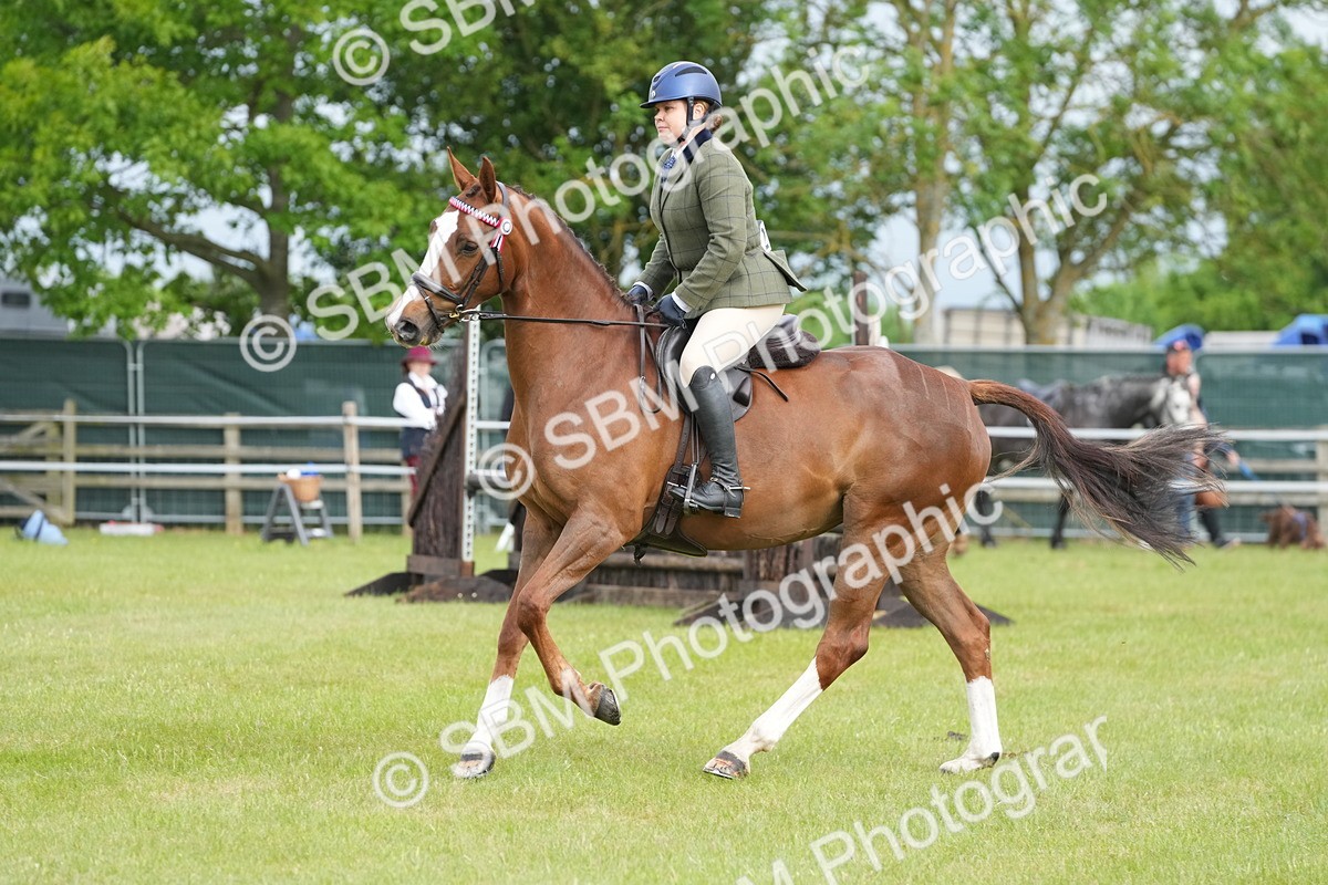 SBM_10608 - Class 97-98 - LIHS BSHA Rising Star Working Show Horse Hunter