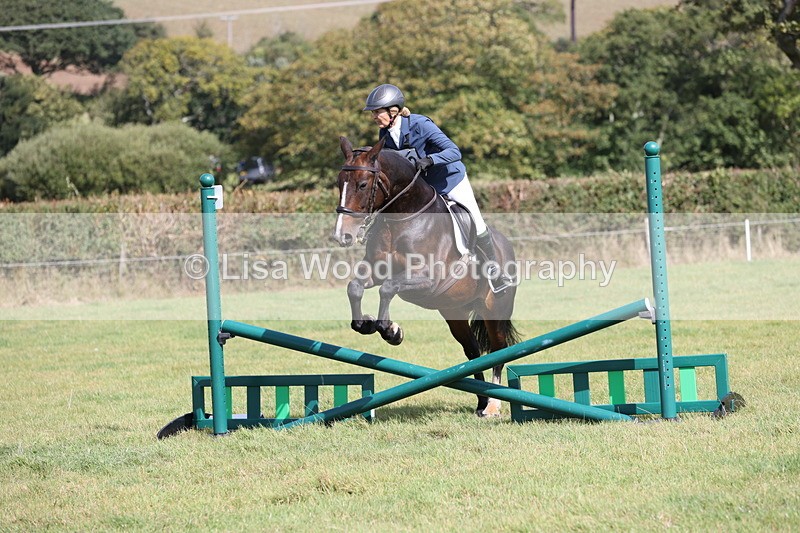 JPP_8872 - Class 2: Trekenning: 80cm Showjumping