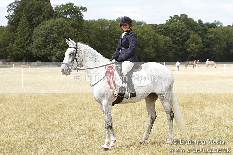 _BS_1022 - Working Hunter Championship BVRC Show 2018