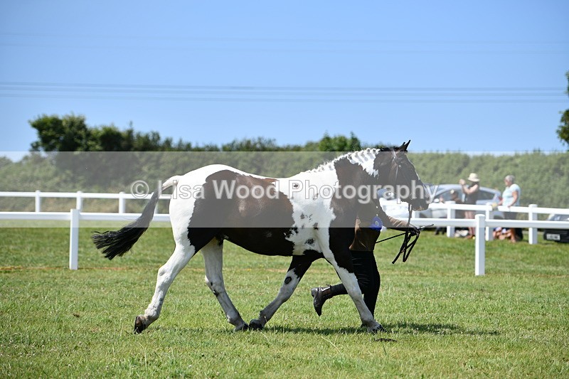 DSC_7806 - Class 64: Coloured Pony 4yrs & over