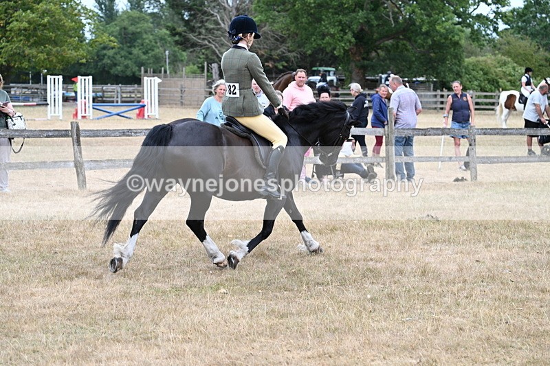 WJ7_0477 - Class 6 Ridden Mountain and Moorland