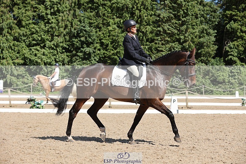 240719-155541-02992 - 237-Sue_Lanz-Wellshead_Foxtrot