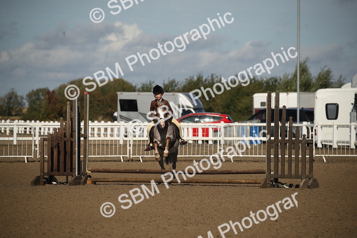 SBM_12705 - Class 504b - Junior Working Veteran - 40cm (20+)