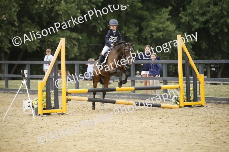 20250622-6004 - 60cm