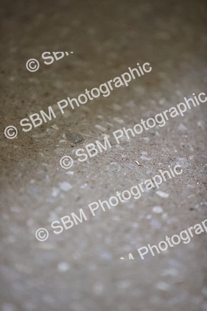 SBM_002506 - Class 11-5 - FSM Ele-Preli